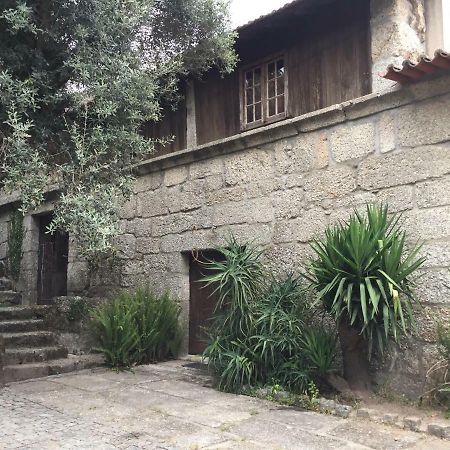 Havan House Amarante Kültér fotó
